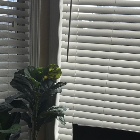 Meet your Posher, Marwah - Picture 1 of 1